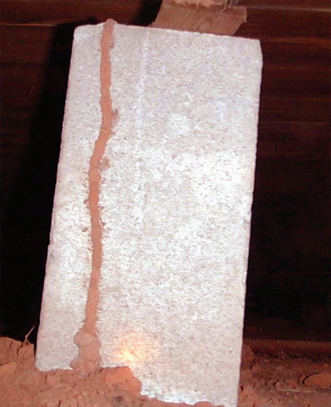 termite shelter tubes along a stone slab