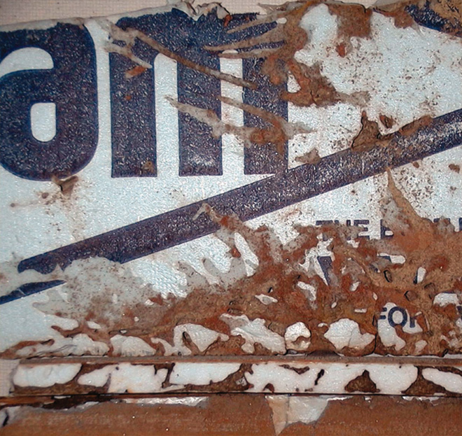 termite galleries in foam insulation
