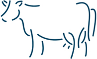 cow outline