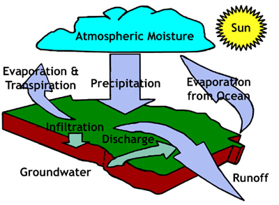 Diagram of the water cycle showing evaporation and transpiration, percipitation, runoff, and infiltration and discharge