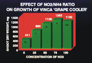 Effect of NO3/NH4 ratio on growth of vinca 'Grape Cooler.' Graph shows shoot dry weight in mg by concentration of NO3 in intervals of 25 from 0 to 100. Shoot dry weight increases with higher concentrations of NO3 with the highest at 75% NO3.