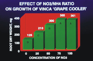 Effect of NO3/NH4 ratio on growth of vinca 'Grape Cooler.' Graph shows root dry weight in mg by concentration of NO3 in intervals of 25 from 0 to 100. Root dry weight increases with higher concentrations of NO3 with the highest at 75% NO3.
