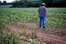 Person standing in a field with sparse plants due to low pH