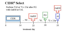 CIDR Select