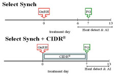 select synch and Select Synch + CIDR