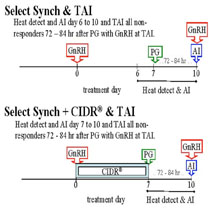 Select Synch & TAI