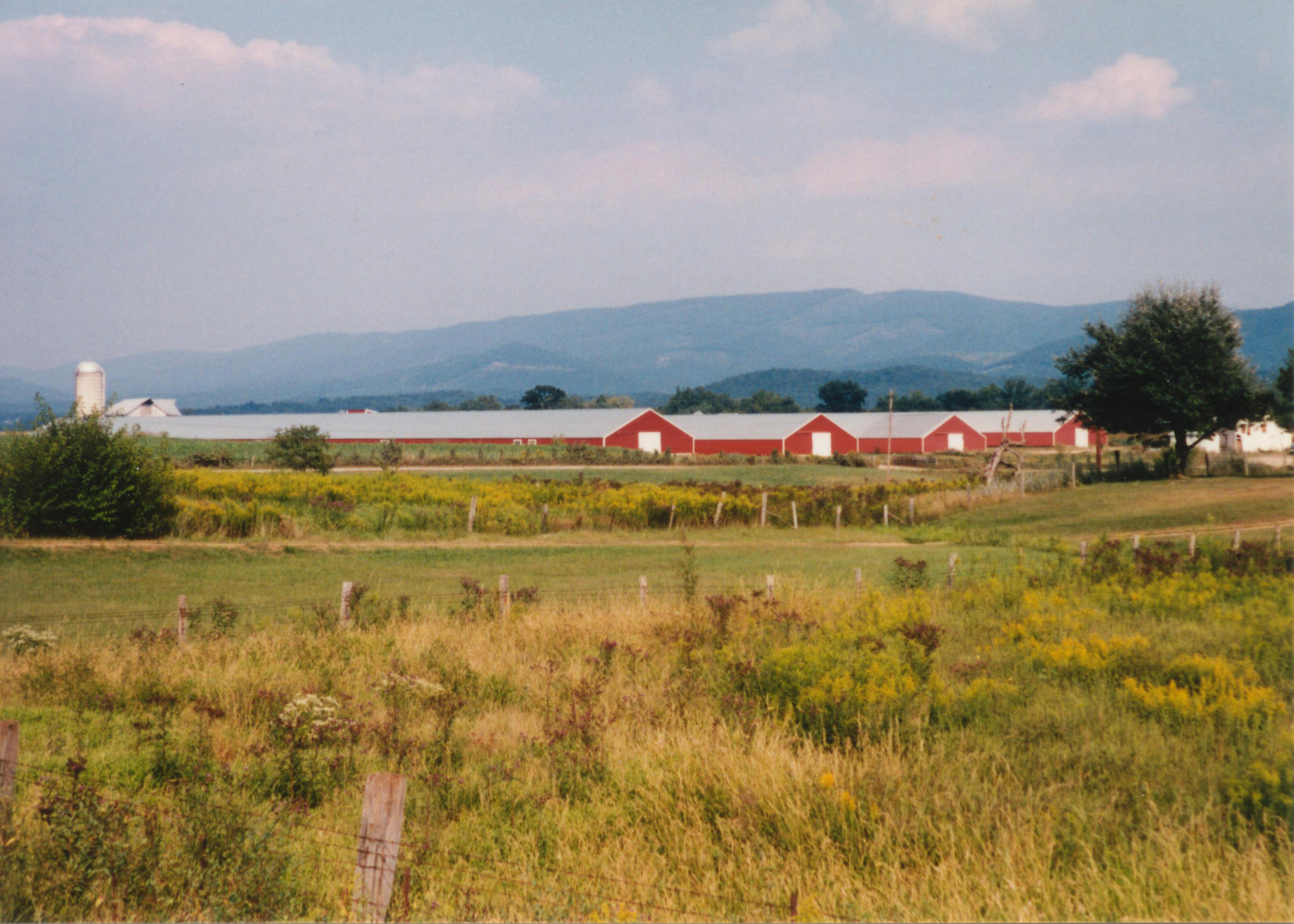 field in front of covered litter storage buildings