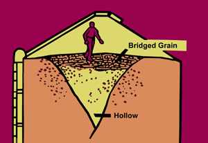 Diagram of a person walking over bridged grain with a hollow under the bridge