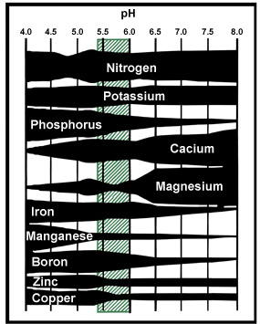 diagram showing availability of nutrients at different pH levels with 5.4 to 6.4 highlighted