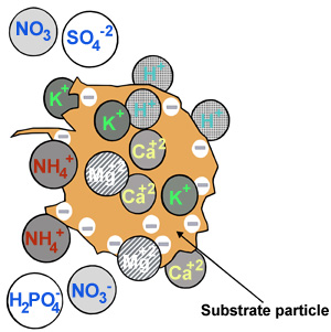 illustration of substrate particle with ions on the surface