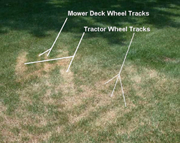 Heat damaged grass with stripes of dry grass. Causes of the stripes of brown are labeled showing the shape of mower deck and tractor wheel tracks.