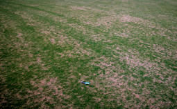 Field of grass with speckled lines of green and brown grass