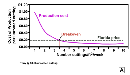 Graph showing economic analysis of cost of production for growers using unrooted cuttings. The production cost decreases with higher numbers of cuttings per square foot per week. The breakeven point is $0.20 at 3 cuttings/square foot/week