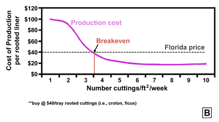 Economic analysis of cost of production for growers using unrooted cuttings (A), rooted cuttings (B) and small-size pots (C) as a starting material.