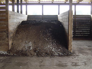 Photo of compost in bin at an angle