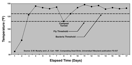 Line graph showing temperature increase in a two stage composter over time. The fly threshold is between 100 and 120 degrees fahrenheit. The bacteria threshold is silightly above 125 degrees. When compost is turned at 8 days, there is significant drop in temperature, but temperatures remain around 140-150 degrees for most of the process. The max temperature shown is about 150 degrees. The minimum temperature shown is about 50 degrees.