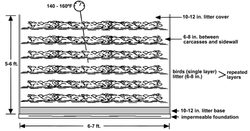 SIde-view diagram of layers in a compost pile. The pile is 6-7 feet wide and 5-6 feet high. An impermeable foundation is the on the lowermost level. On top of that is a 10-12 inch litter base layer. Then a single layer of birds is alternated with 6-8 inches of litter. Finally there is 10-12 inches of litter covering the pile. Also of note is the 6-8 inches of space between the bird carcasses and the sidewall.