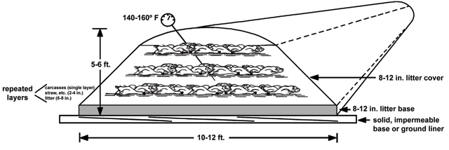 Diagram of composting windrow showing layered carcasses and litter layers, and the temperature inside is 140-160 degrees F.