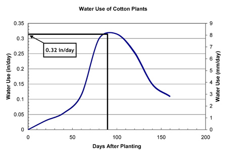 Graph showing water used by cotton by days aftering planting. The peak is 0.32 inches per day at about 90 days after planting