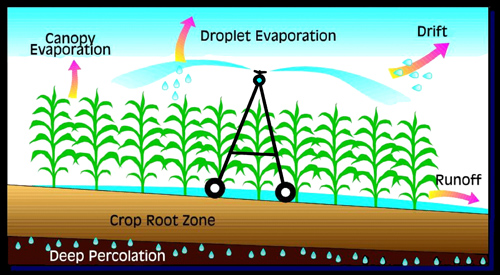 illustration showing canopy evaporation, droplet evaporation, drift, and runoff as inefficiences.