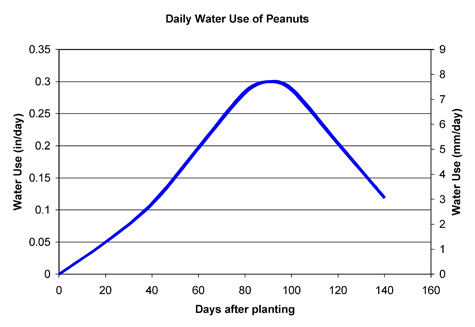 Graph showing water used by peanuts by days aftering planting. Water use peaks around 0.3 inches at around 90 days after planting