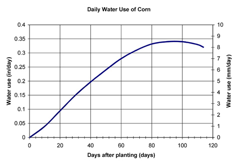 Graph showing water used by corn by days after planting. Water use peaks around 0.34 inches per day around 95 days after planting