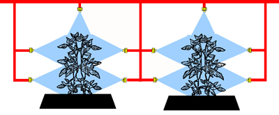 Drawing demonstrating five nozzles spraying larger plants