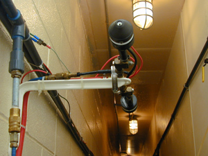 Electrostatic spray nozzle in a hatchery plenum.