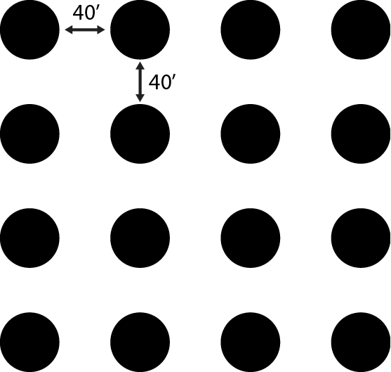 Square orchard diagram with 40' between rows and between trees within rows.