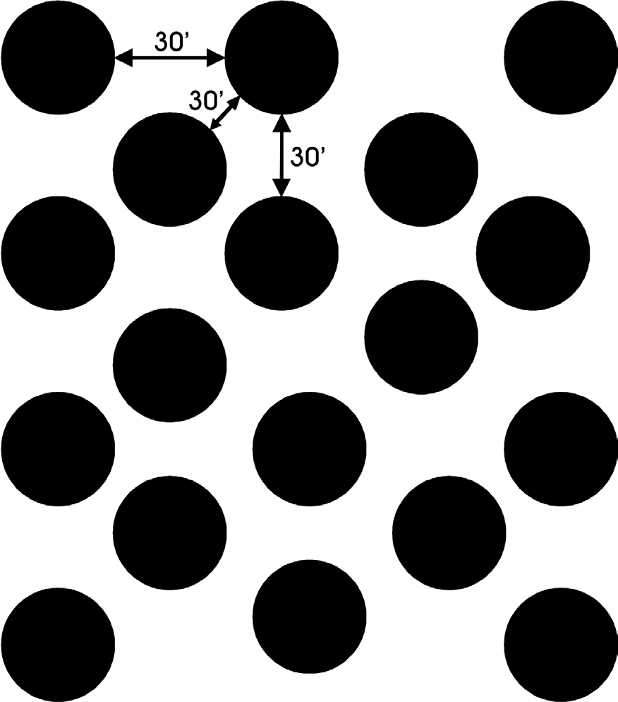 Triangle pattern orchard diagram with rows offset and an equal distance of 30' between each tree