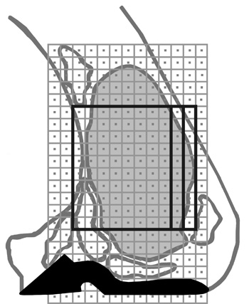 Ribeye area with a grid overlaid on top