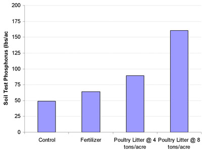 Test of phosphorous in soil. Control is 50 lbs/acre, fertilizer is around 70 lbs/acre, poultry litter at 4 tons/acre is around 90 lbs/acre, and poultry litter at 8 tons/acre is around 165 lbs/acre.