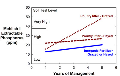 Graph showing years of management and extractable phosphorous for different fertilizer sources. Inorganic fertilizer slowly increases with more years of management in the low soil test level range. Hayed poultry litter increases slowly over time in the high soil test level range. Grazed poultry litter increases drastically over time from low to very high soil test level ranges.