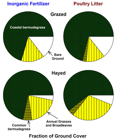 Pie charts of ground cover for grazed and hayed inorganic fertilizer and poultry litter