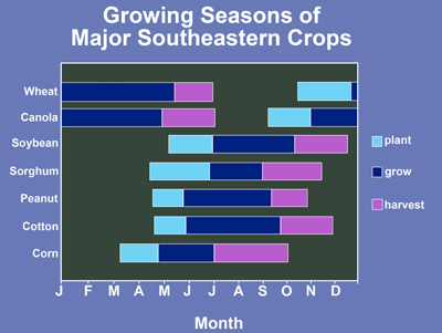 Planting, growing and harvest periods for major southeastern crops. Wheat and canola are planted in the fall and harvested in late spring. Soybeans, sorghum, peanut, cotton, and corn are planted in spring and harvested in summer to fall.