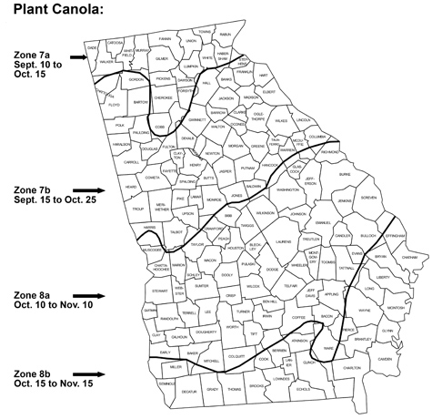 Canola planting dates in Georgia by hardiness zone. Zone 7a, plant Sept. 10 to Oct. 15; zone 7b, plant Sept. 15 to Oct. 25; zone 8a, plant Oct. 10 to Nov. 10; zone 8b, plant Oct. 15 to Nov. 15