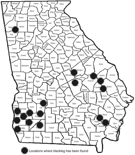 Distribution of blackleg in Georgia. Locations are clustered in the southwest of the state. There is a second cluster in the eastern part of the state, a bit west of Savannah, and one instance in northwest Georgia.