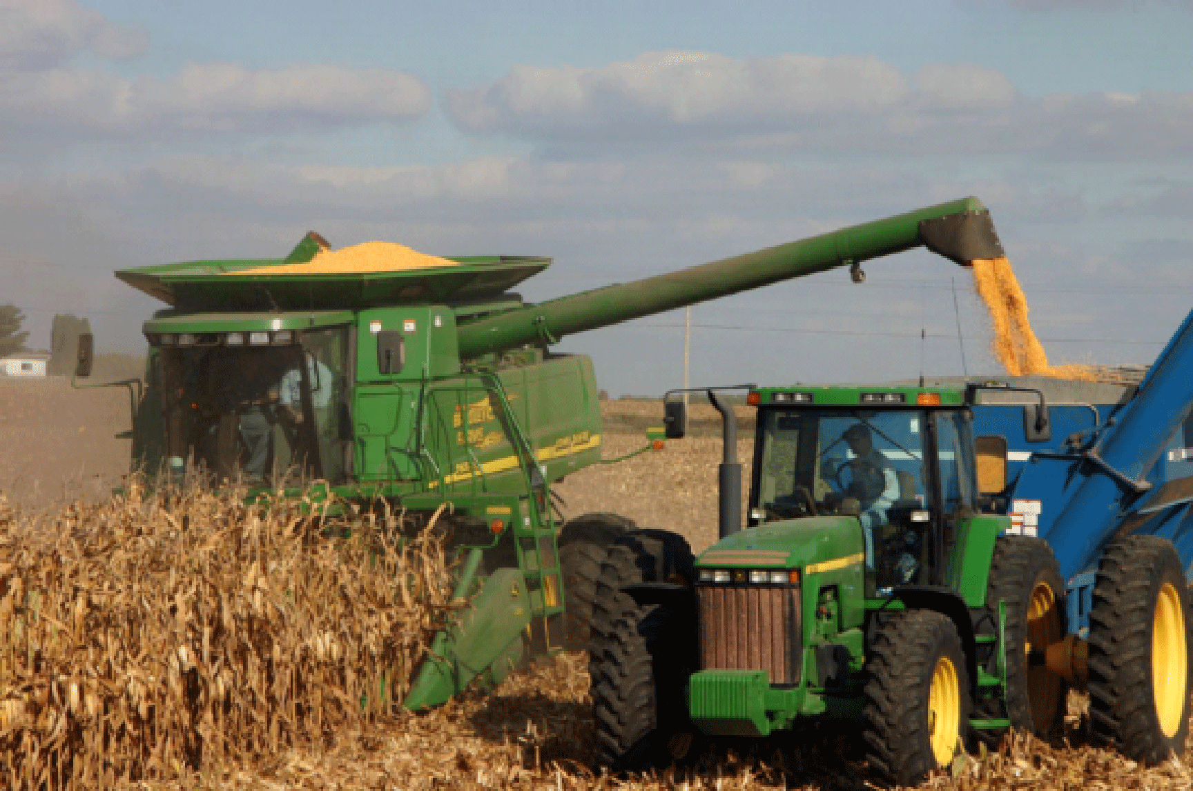 machine harvesting corn