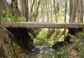 Wood crossing over a stream