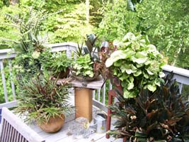 Potted plants on a deck