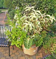 Large planter next to a bench