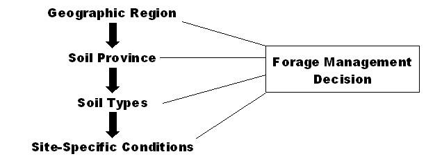 Geographic region, soil province, soil types, and site-specific conditions all affect forage management decisions