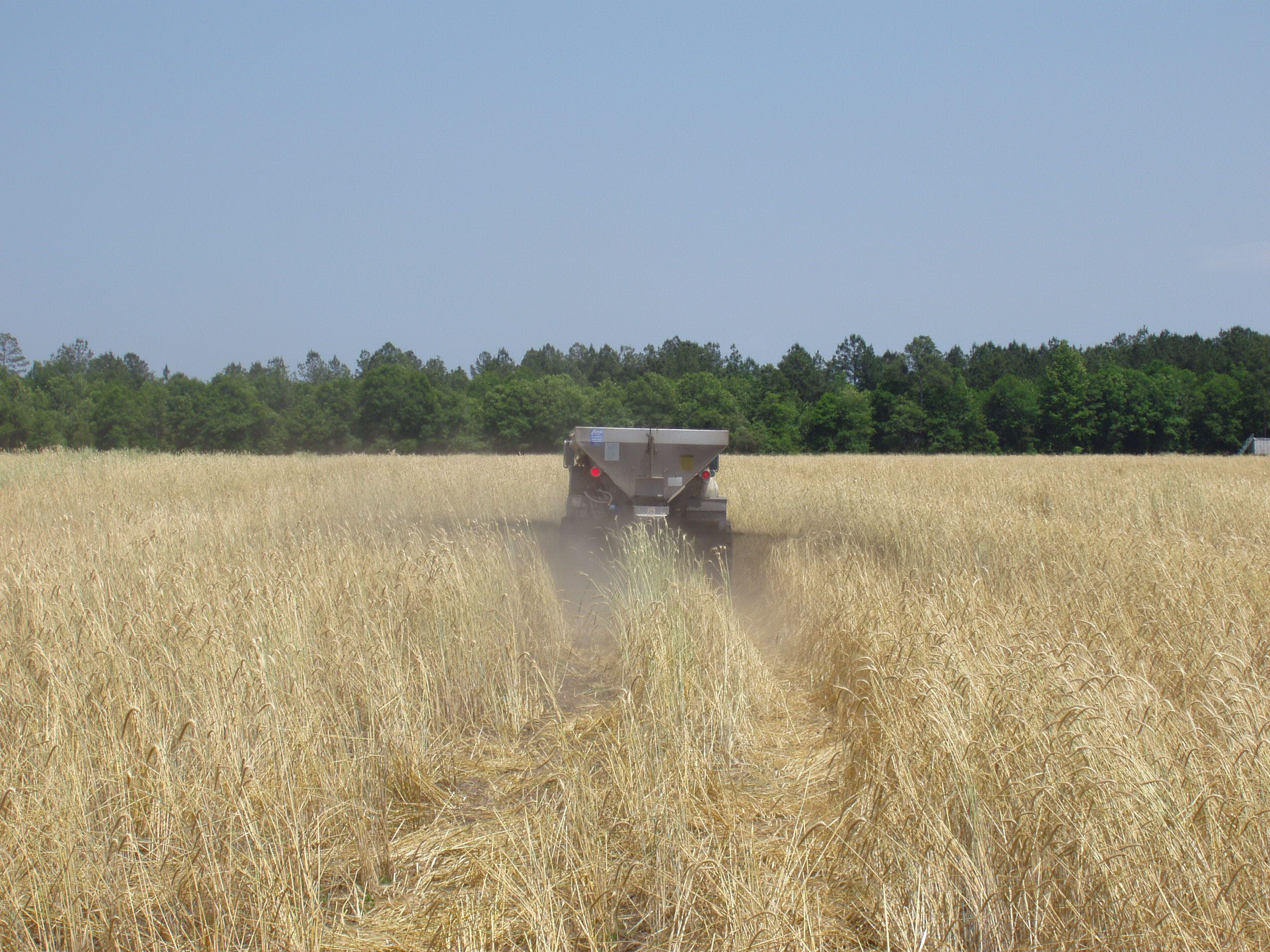 Tractor applying biosolids to crops