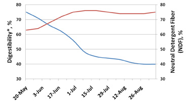 Graph of average digestibility and neutral detergent fiber from May 20 to August 26.