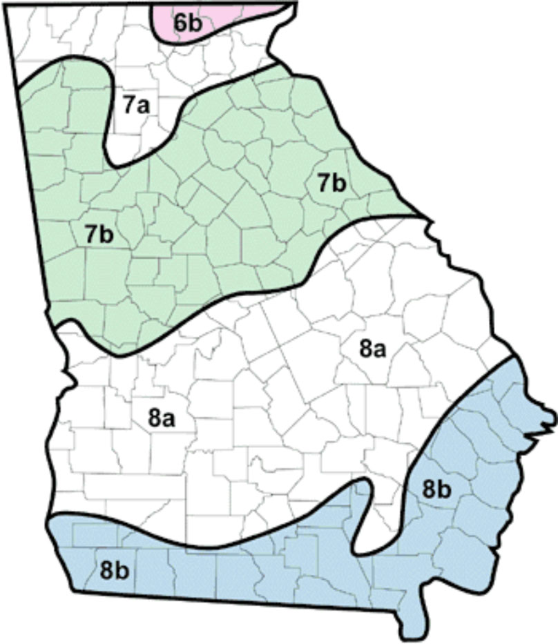 USDA Hardiness Zones in Georgia range from 6b in the mountains to 8b along the southern border and coast