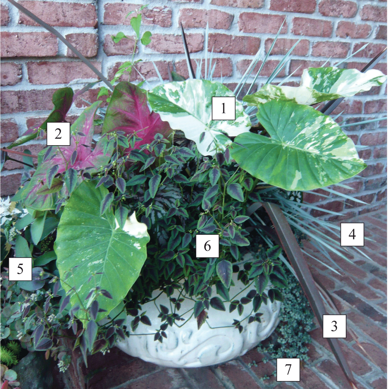 shade container