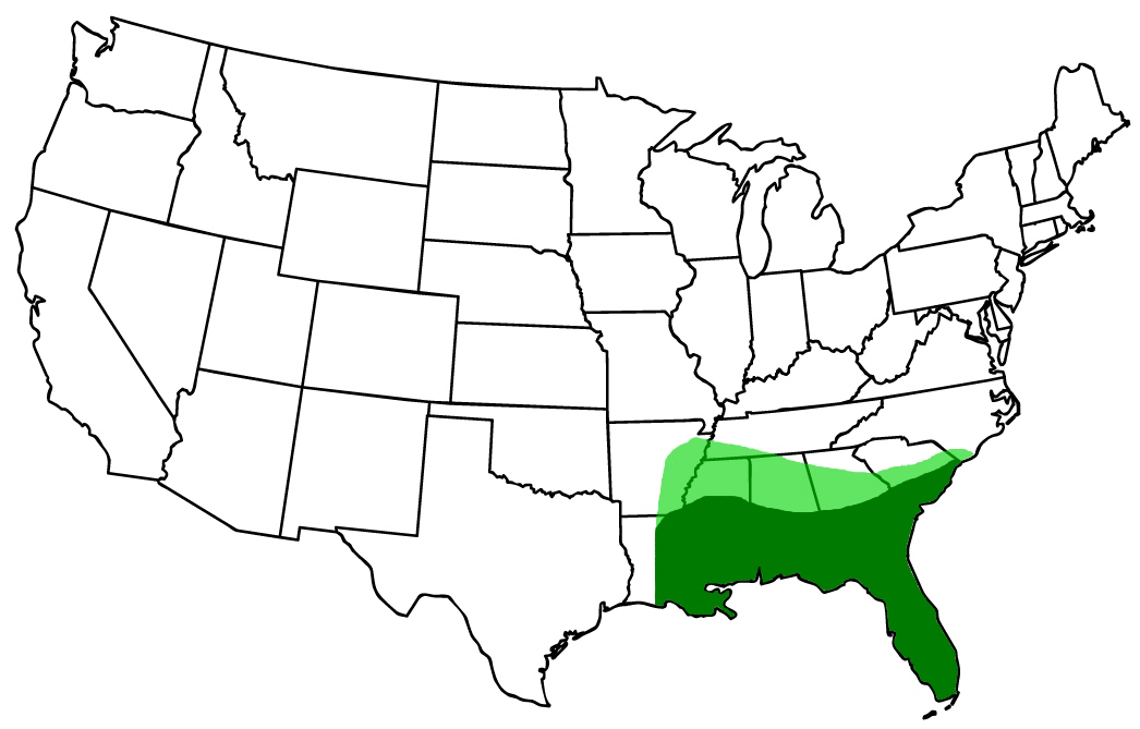 Map of the U.S. with a dark green region covering Florida, the Gulf Coast west to the middle of Louisiana, and halfway up Georgia, Alabama, and Mississippi as well as the coast of South Carolina. A light green area covers the rest of Mississippi, parts of Arkansas and Tennessee, and additional parts of Alabama, Georgia, and South Carolina.