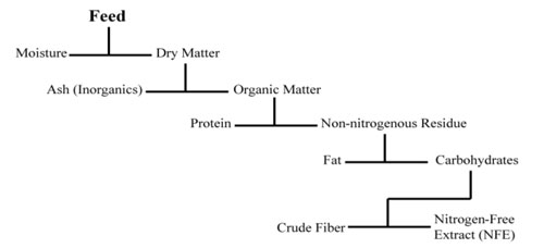 A schematic that describes various components of feedstuffs usually partitioned in proximate analysis.expressing the broad nutritional value of a feed sample. The proximate system for routine analysis of animal feed-stuffs was devised in the mid-nineteenth centuryat the Weende Experiment Station in Germany (Henneberg and Stohmann, 1860, 1864) and is referred to as the Weende System of proximate analysis (or simply, the Weende analysis). 