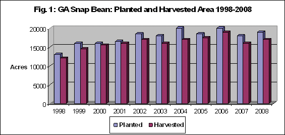 Graph of GA snap bean area planted and harvested, 1998-2008. Planted acreage is generally slightly higher than harvested acreage, and both trend slightly upward starting around 12500 acres in 1998 and reaching around 16000 acres in 2008