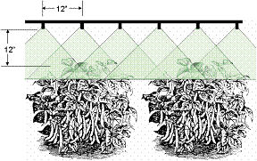 Nozzle configuration for broadcast spraying. Nozzles are 12' apart and 12' above plants and the spray overlaps